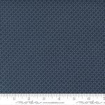 Nantucket Summer - Quilting Cotton Fabric - Snail Check - Navy