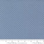 Nantucket Summer - Quilting Cotton Fabric - Snail Check - Lake