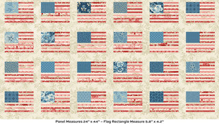 Stars and Stripes - Quilting Cotton Fabric - Stars and Stripes Multi - 108"