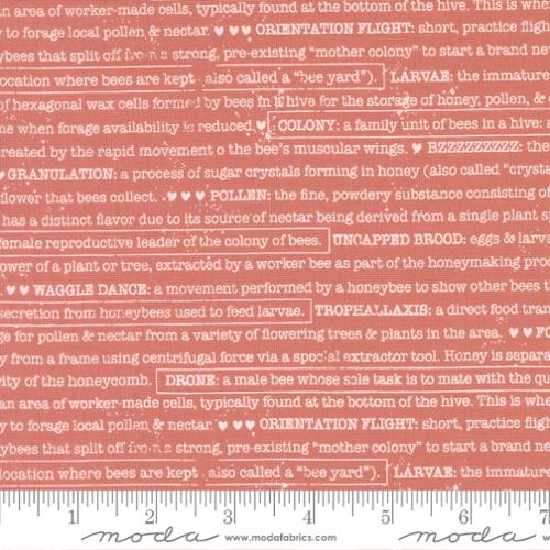 Wild Honey - Quilting Cotton Fabric - Buzz Words Text and Words - Rose Water