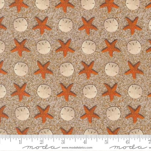 Saltwater - Quilting Cotton Fabric - Sandy Beach Novelty Sand Dollar Starfish - Sand