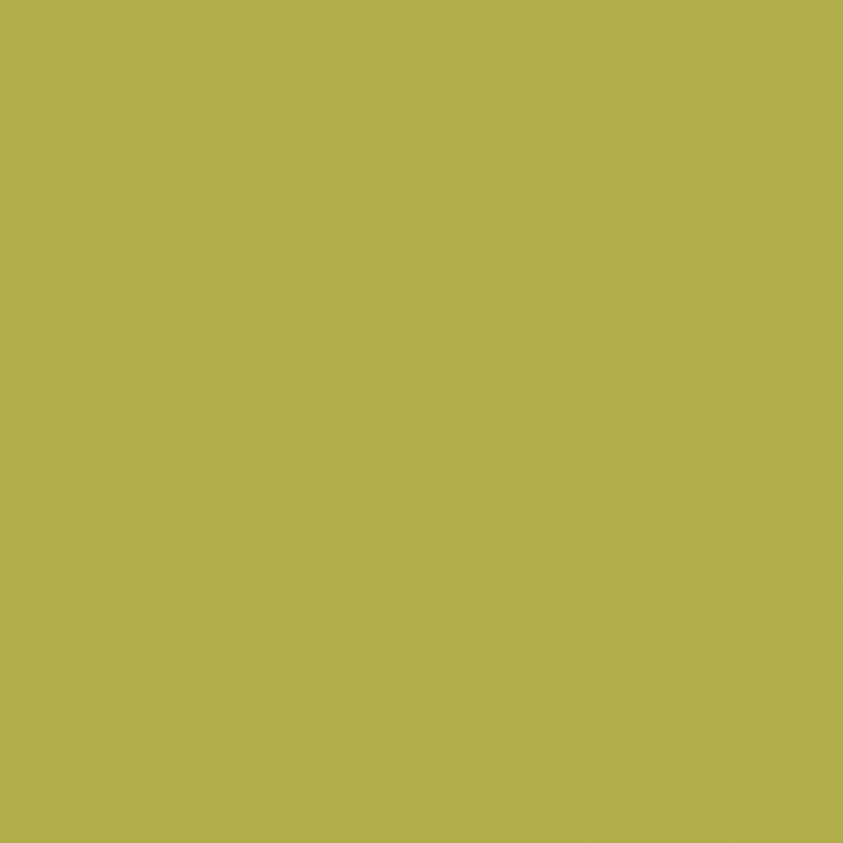 Confetti Cotton – Quilting Cotton Fabric – Solid - Asparagus