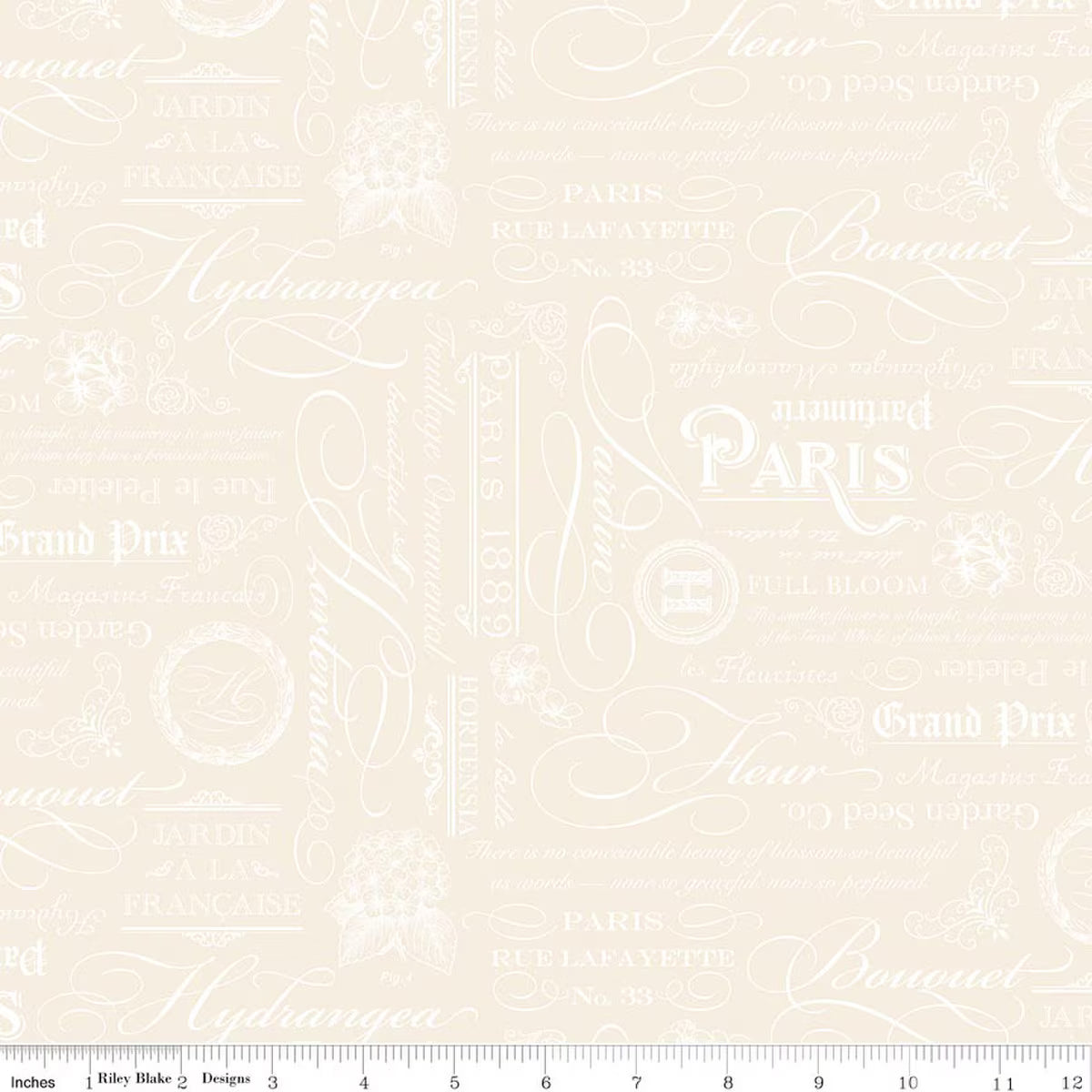 Elegant Essentials - Cotton Fabric - Text - Cream Pearl