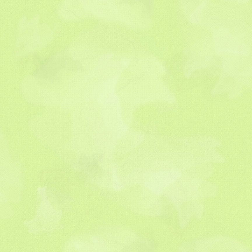 Colorstock - Quilting Cotton Fabric - Brushstroke - Aloe
