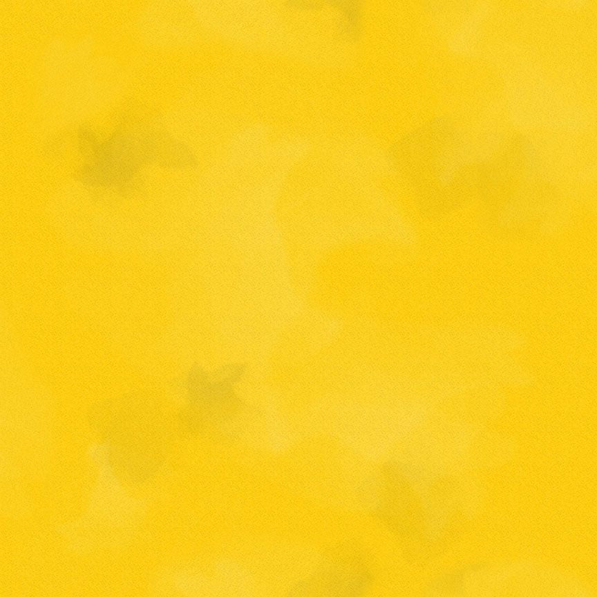 Colorstock - Quilting Cotton Fabric - Brushstroke - Lion