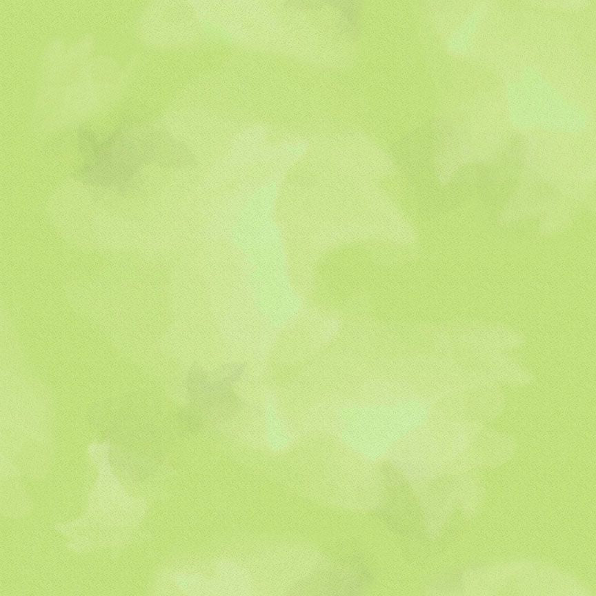 Colorstock - Quilting Cotton Fabric - Brushstroke - Sencha