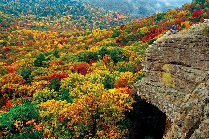 All Things Fall!