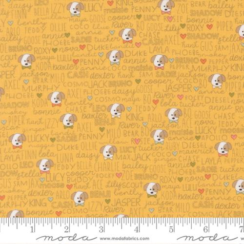 Lucky - Quilting Cotton Fabric - Buddies - Sun