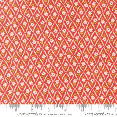 Rosie - Quilting Fabric - Climbing Daisy Blenders Flower Trellis - Strawberry