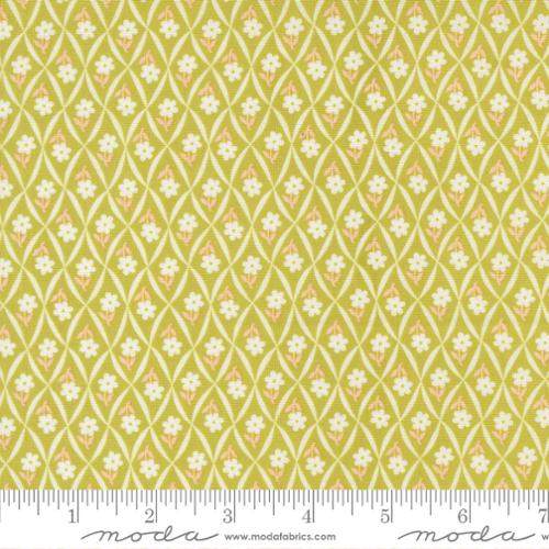 Rosie - Quilting Fabric - Climbing Daisy Blenders Flower Trellis - Green Apple