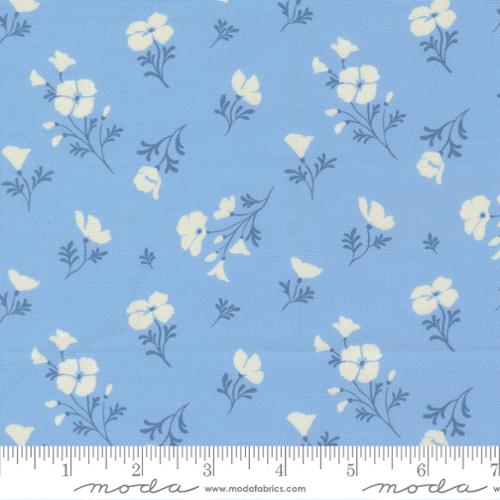 Cannon Beach - Quilting Cotton - Sky - Astoria Florals