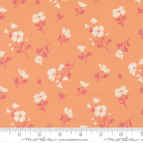Cannon Beach - Quilting Cotton - Peach - Astoria Florals