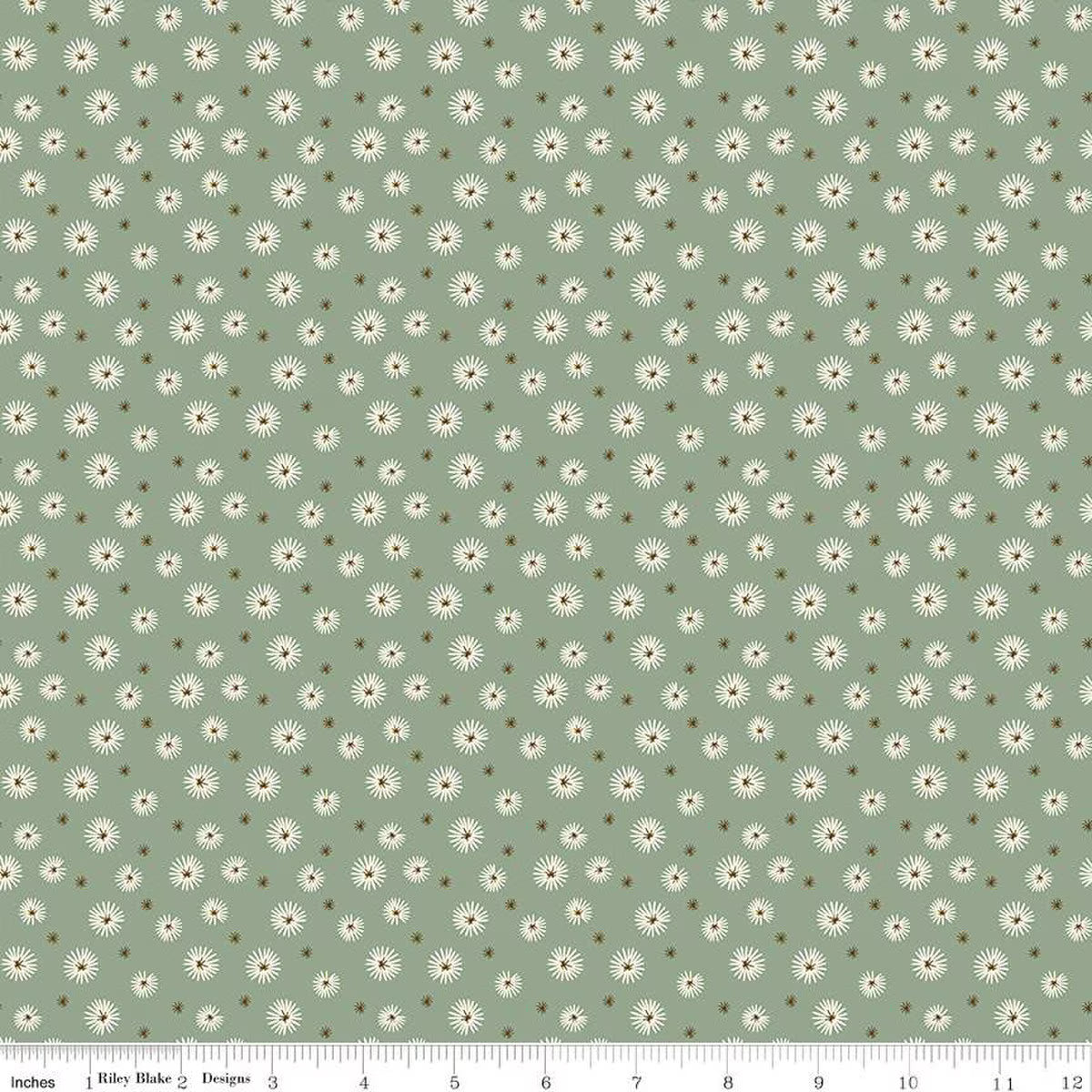 Morning Latte – Quilting Cotton Fabric – Seedpods - Aloe