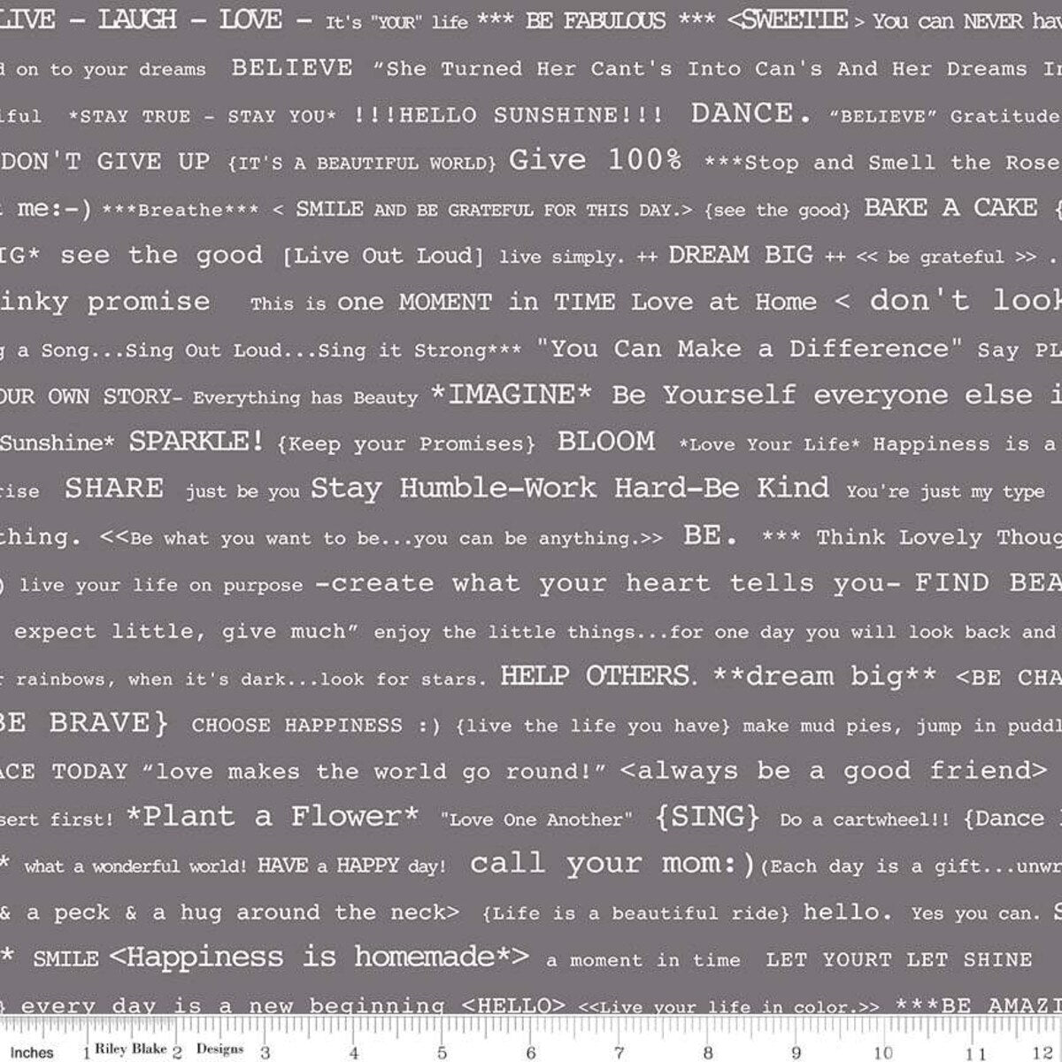 Bee Basics – Quilting Cotton Fabric – Happy Text - Gray