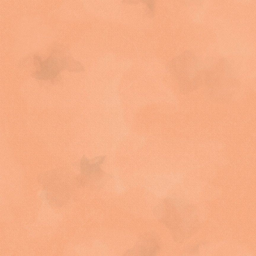 Colorstock - Quilting Cotton Fabric - Brushstroke - Apricot
