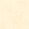 Shadow Play - Quilting Cotton Fabric - Antique Cream