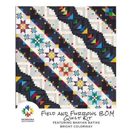 Field and Furrows - Quilt Kit - Block of The Month Quilt Kit - Bright